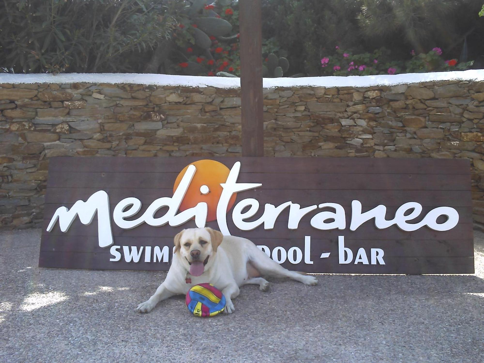 Hotel Mediterraneo Chora  Exterior photo